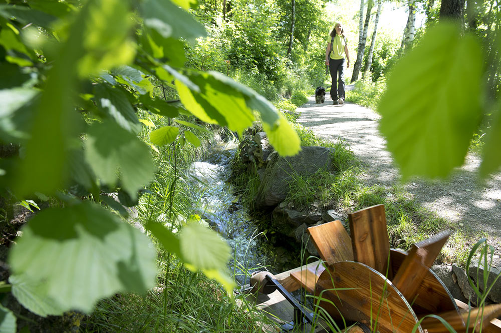 Waalweg (sentiero lungo la roggia) di Parcines