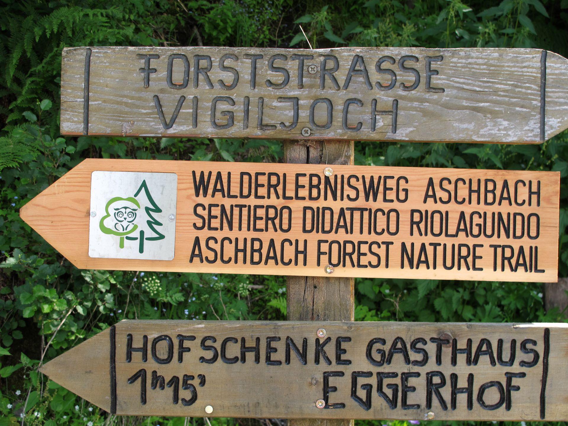 Walderlebnisweg Aschenbach