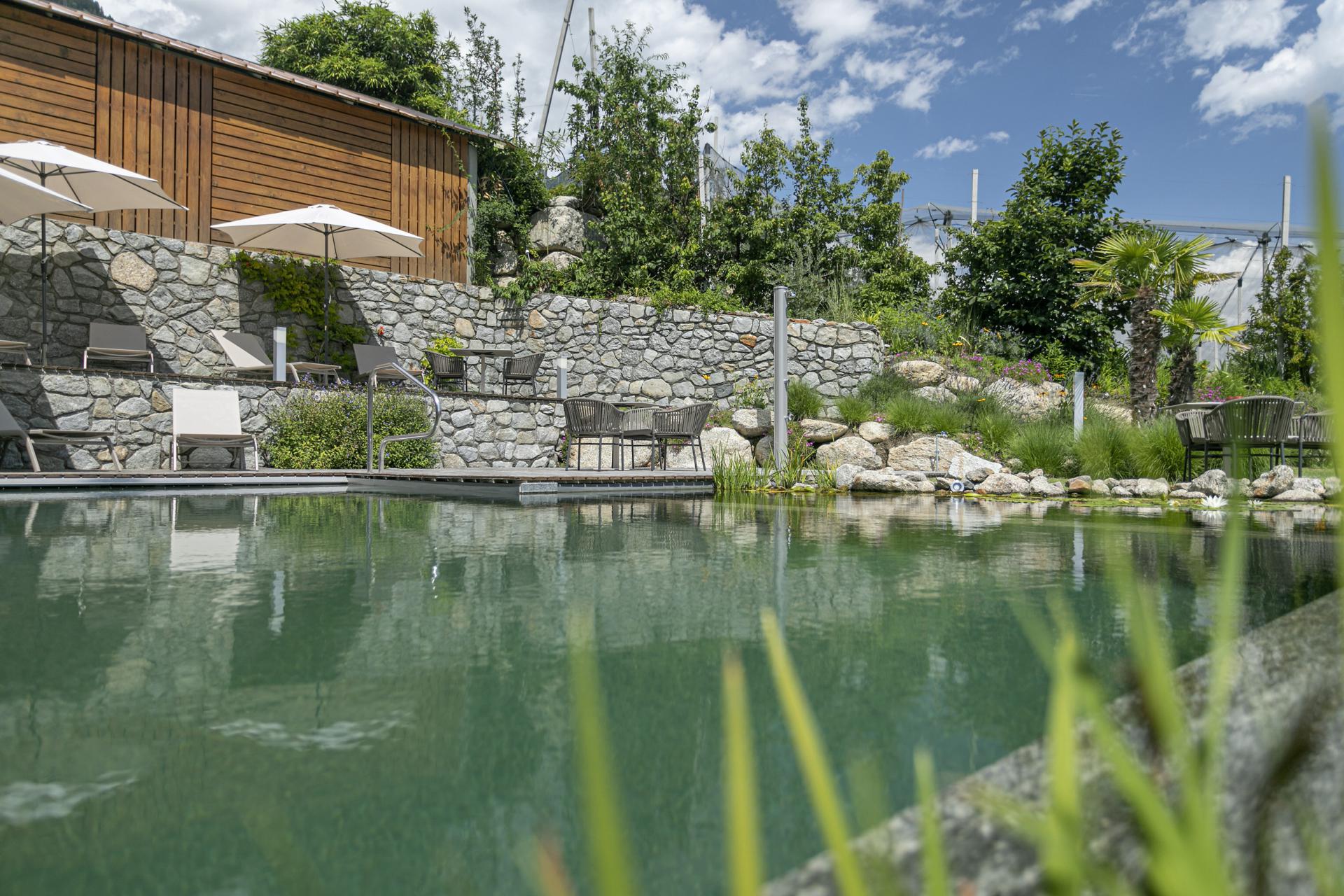 Schwimmteich mit Sonnenliegen und Sitzmöglichkeiten