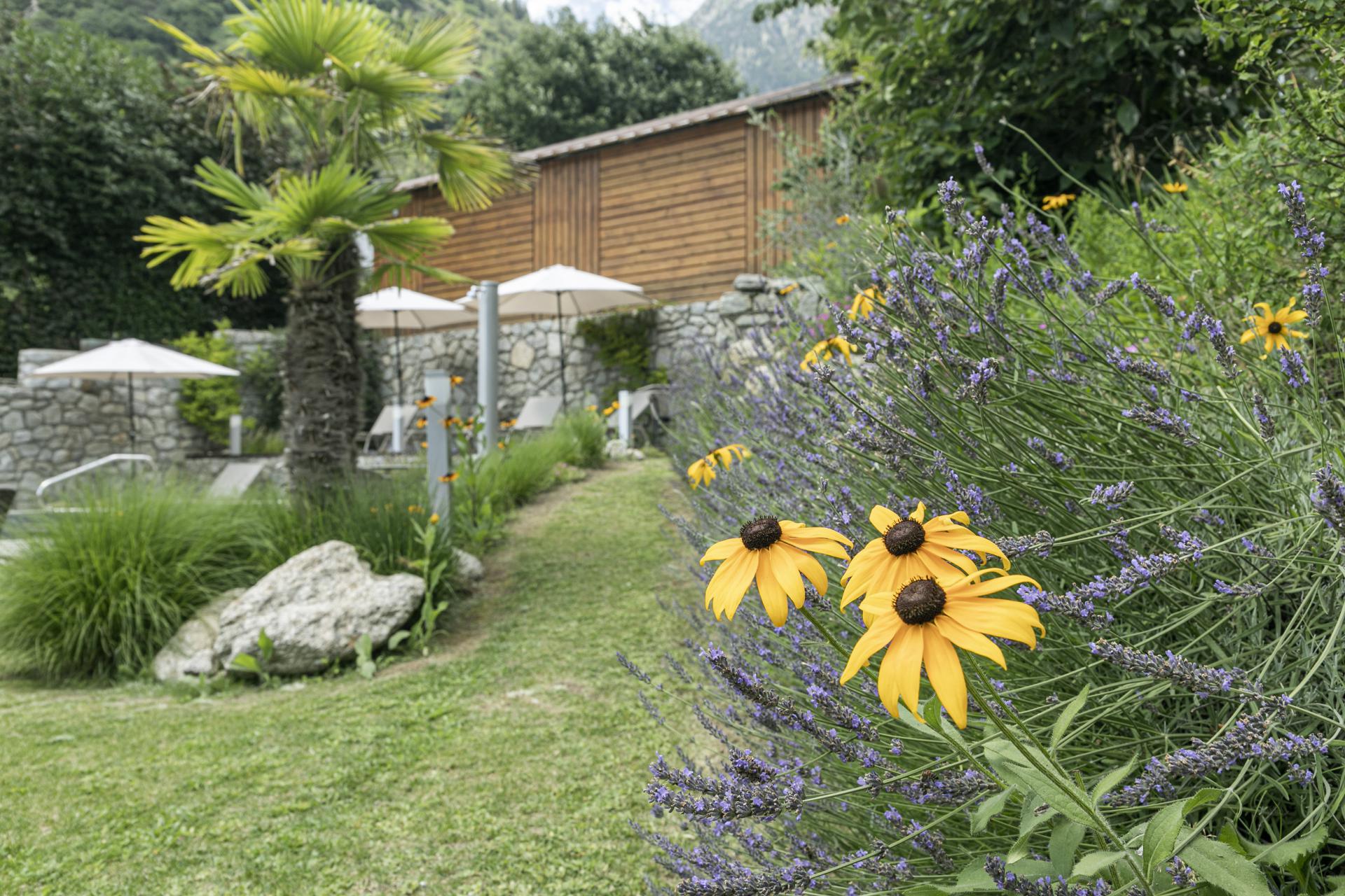 Il sentiero nel giardino che porta alla terrazza presso il laghetto naturale balneabile