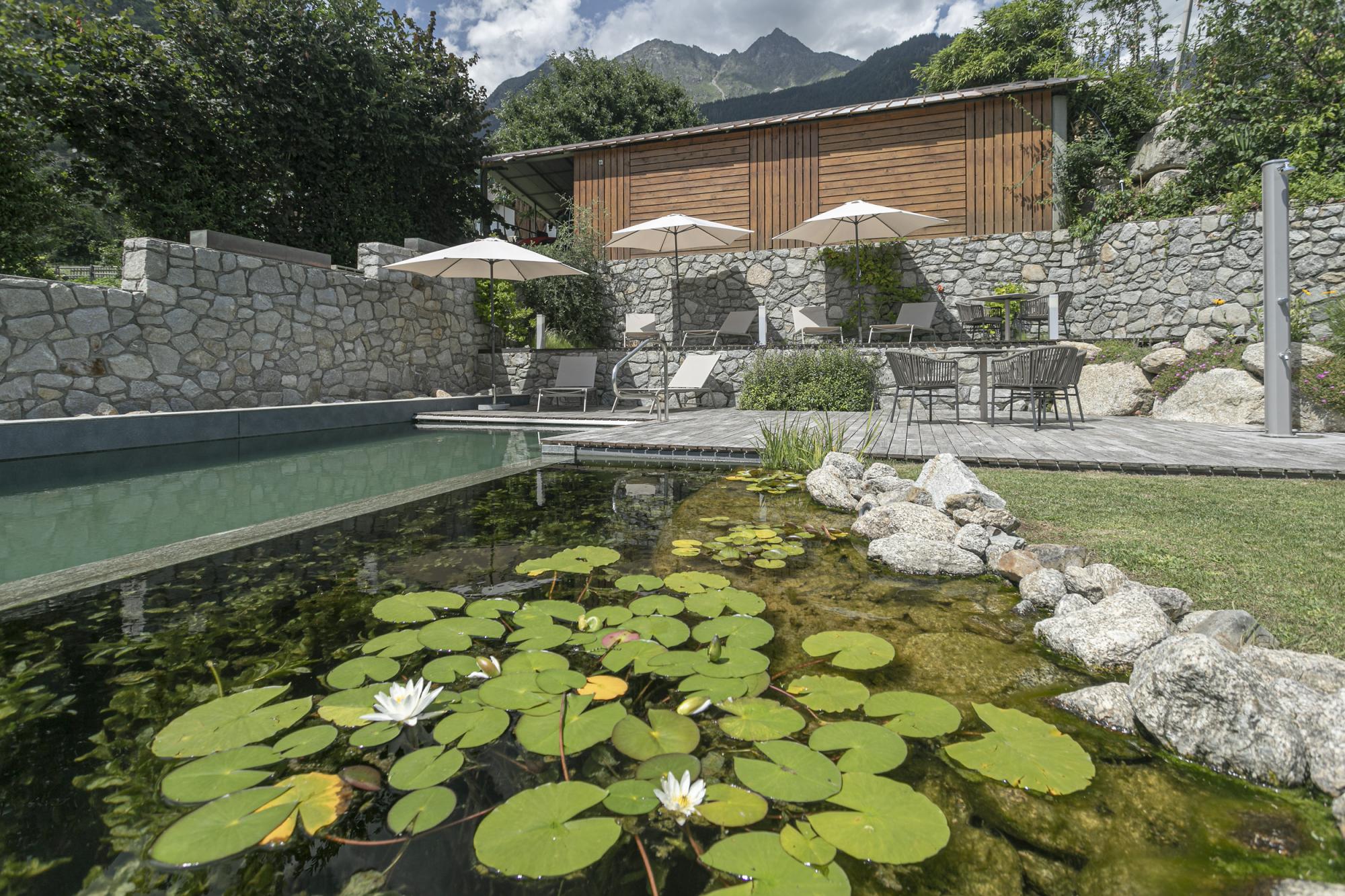 Giardino con piscina e sedie sdraio